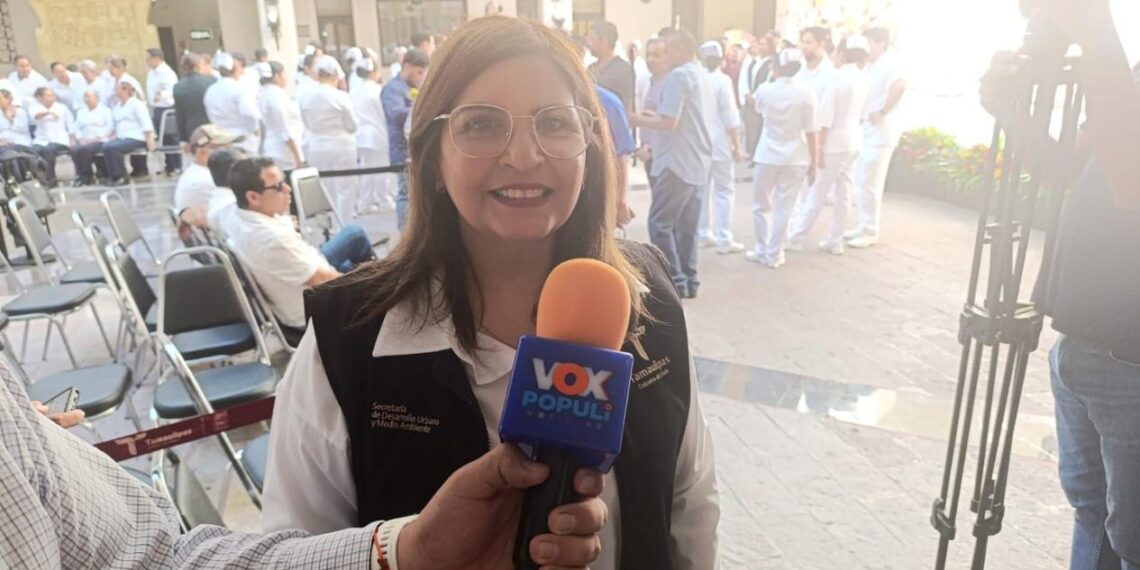 transporte ecológico en Tamaulipas