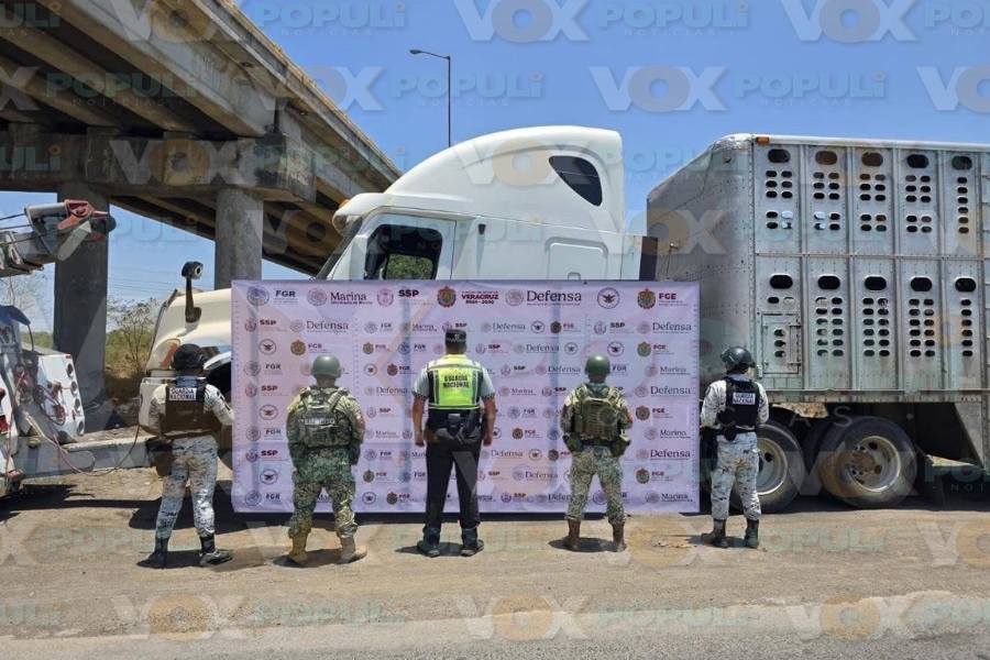 vacas robadas en Tampico Alto
