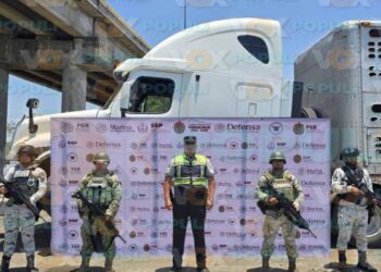 vacas robadas en Tampico Alto