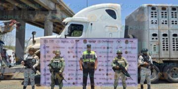 vacas robadas en Tampico Alto