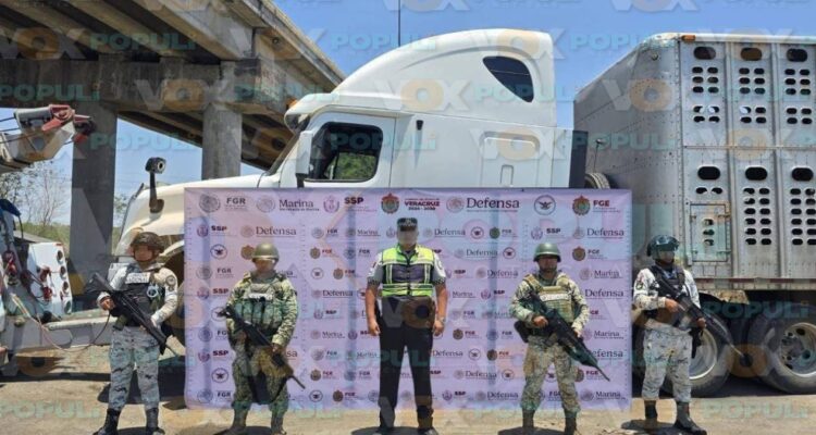 vacas robadas en Tampico Alto