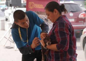 vacunación para perros gratis Nuevo Laredo