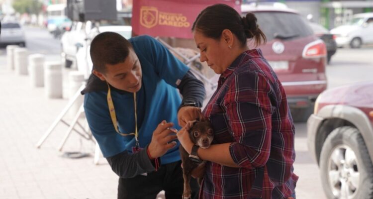 vacunación para perros gratis Nuevo Laredo