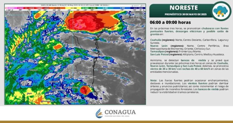 ¿Afectará la tormenta tropical Alvin en Tamaulipas este viernes?