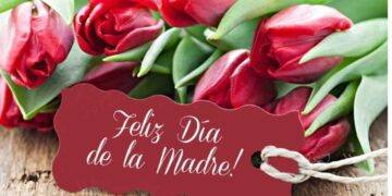 ¿Cuáles son las mejores frases para enviar este 10 de Mayo en el Día de las Madres?
