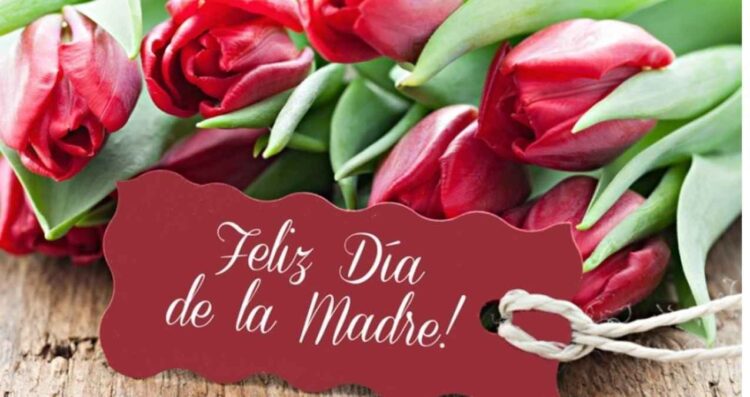¿Cuáles son las mejores frases para enviar este 10 de Mayo en el Día de las Madres?