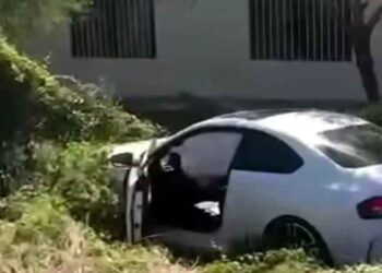 Auto derriba cerca Linares