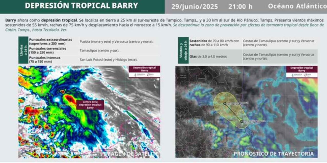 'Barry' depresión tropical