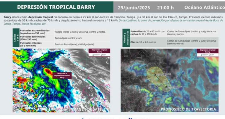 'Barry' depresión tropical