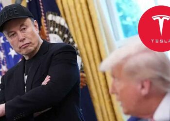Donald Trump Elon Musk