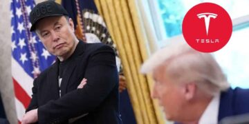 Donald Trump Elon Musk