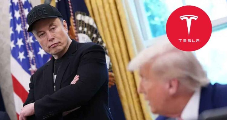 Donald Trump Elon Musk