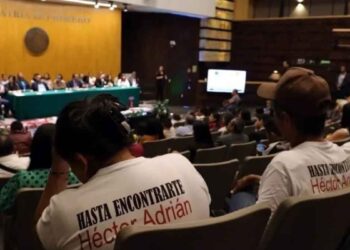 organizaciones iniciativa Segob