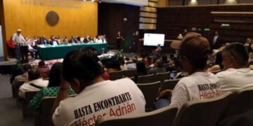 organizaciones iniciativa Segob