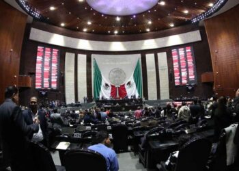 Diputados Ley SSPC