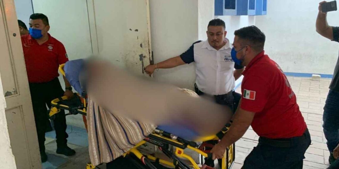 pareja atacada abejas Mante