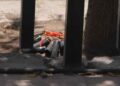 Hallan explosivos caseros en colonia Popular de Culiacán, cerca de una casilla del INE