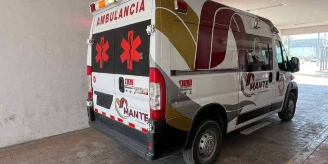 Hombre ataque abejas Mante