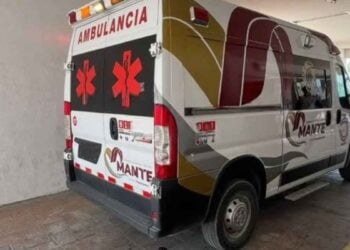 Hombre ataque abejas Mante
