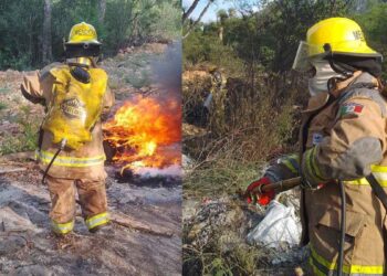Incendio en las faldas del Cerro de las Mitras en Monterrey, Nuevo León, moviliza a cuerpos de emergencia