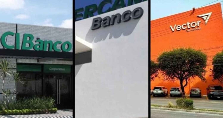 Intervención a Vector, CIBanco e Intercam fue para evitar un impacto en el sistema financiero: Claudia Sheinbaum