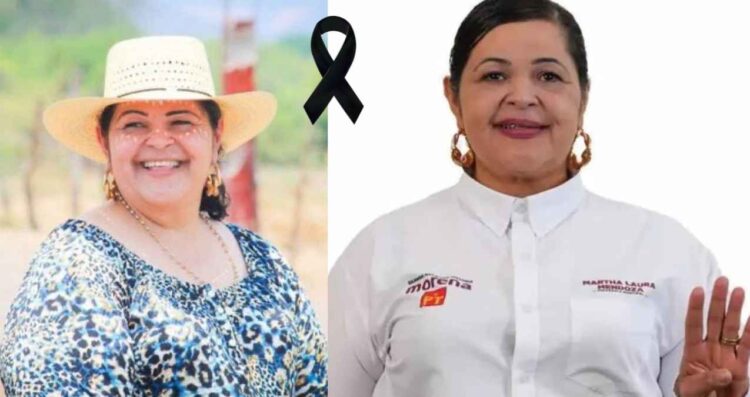 Matan a la alcaldesa de Tepalcatepec, Michoacán, Martha Laura Mendoza, mientras salía de su casa