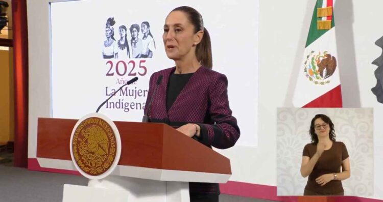 México mantiene una relación firme con Estados Unidos pese a redadas y aranceles