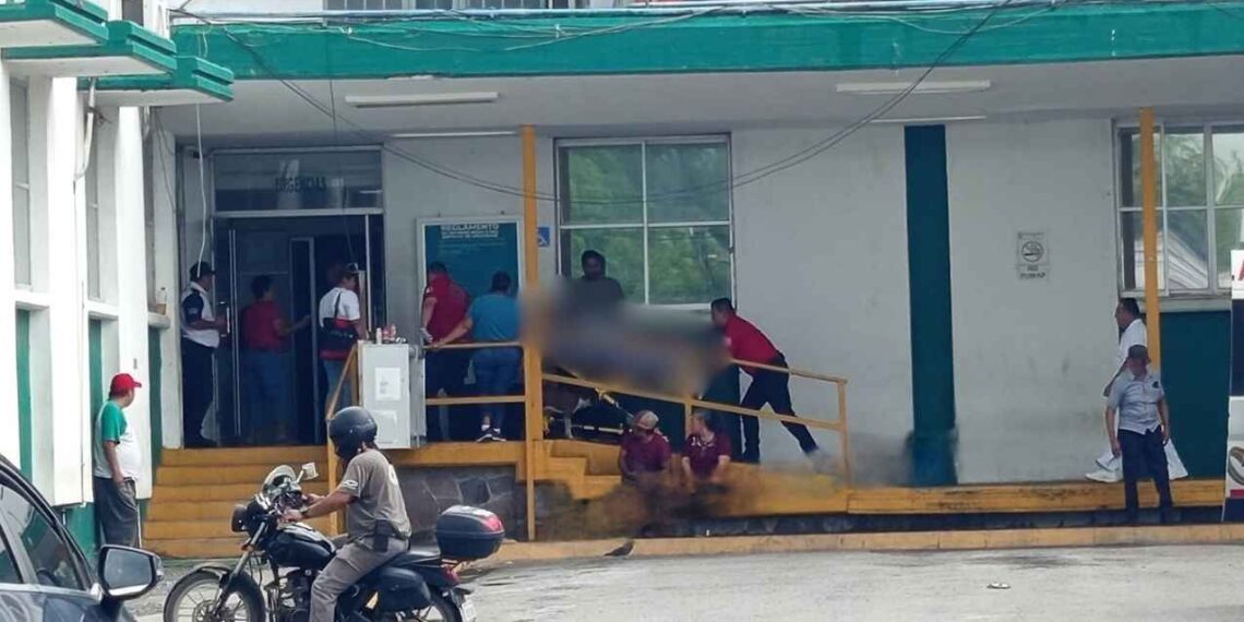 hombre árbol mangos El Mante