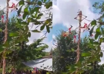 Momento exacto en que cayeron los voladores de Papantla; video