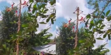 Momento exacto en que cayeron los voladores de Papantla; video