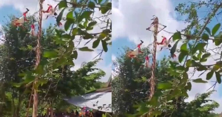 Momento exacto en que cayeron los voladores de Papantla; video