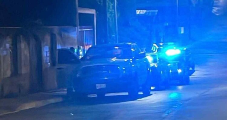 Mujer pierde la vida tras ser atacada por varios perros en Ciudad Madero, Tamaulipas
