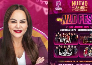 NLD FEST