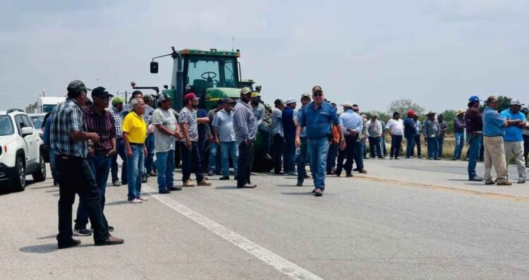 Productores de sorgo en Tamaulipas advierten posibles bloqueos por incumplimiento de acuerdos