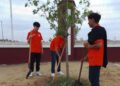 Reforestación urbana en Nuevo Laredo