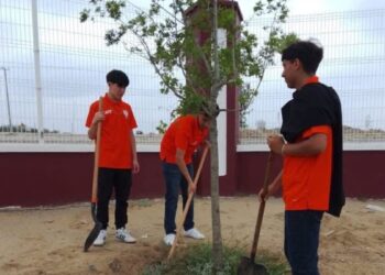 Reforestación urbana en Nuevo Laredo