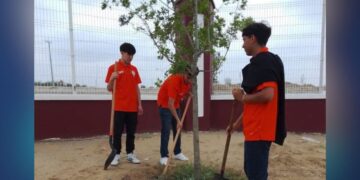 Reforestación urbana en Nuevo Laredo