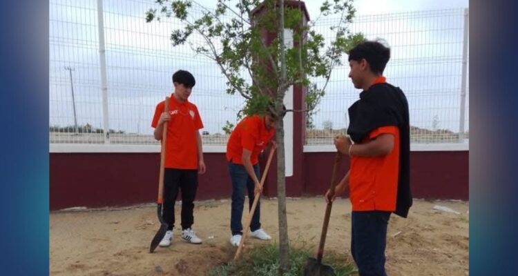 Reforestación urbana en Nuevo Laredo
