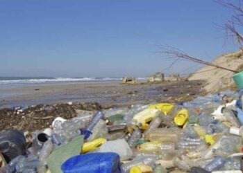 México plástico playas