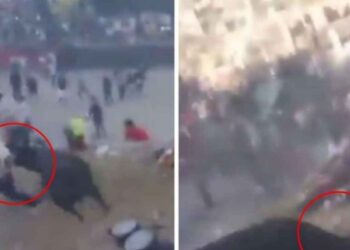 Toro se escapa en corrida durante fiesta patronal en Perú y deja al menos 12 heridos