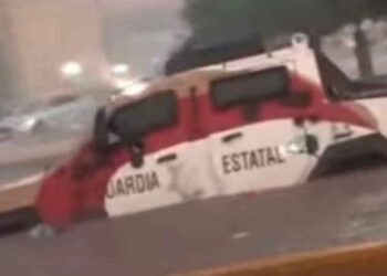 Reynosa “Black Mamba”