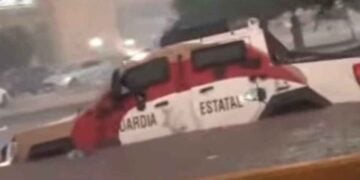 Reynosa “Black Mamba”