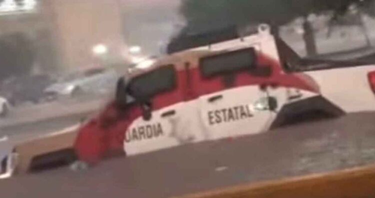 Reynosa “Black Mamba”