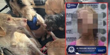Vinculan a proceso a mujer por maltrato animal en San Luis Potosí