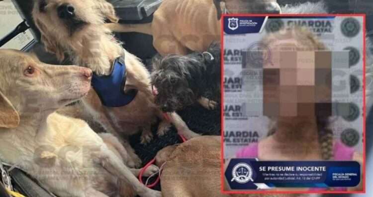 Vinculan a proceso a mujer por maltrato animal en San Luis Potosí