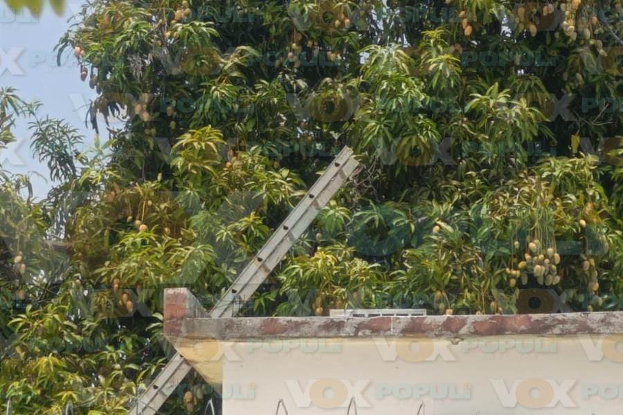 accidente de técnico en Ciudad Victoria