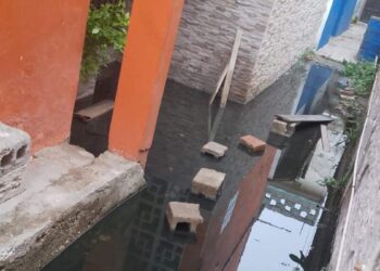 aguas negras en Tampico