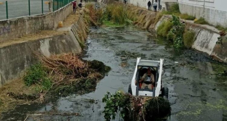 basura en canales Tampico