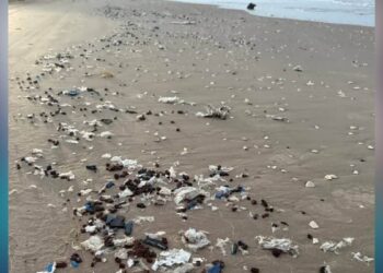 basura espacial de spacex en méxico