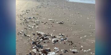 basura espacial de spacex en méxico